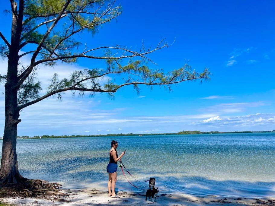 New Dog Paradise - Near The Beach Img & Downtown Bradenton Zewnętrze zdjęcie