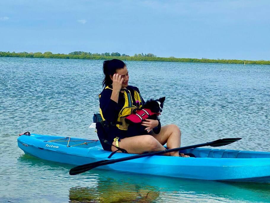 New Dog Paradise - Near The Beach Img & Downtown Bradenton Zewnętrze zdjęcie