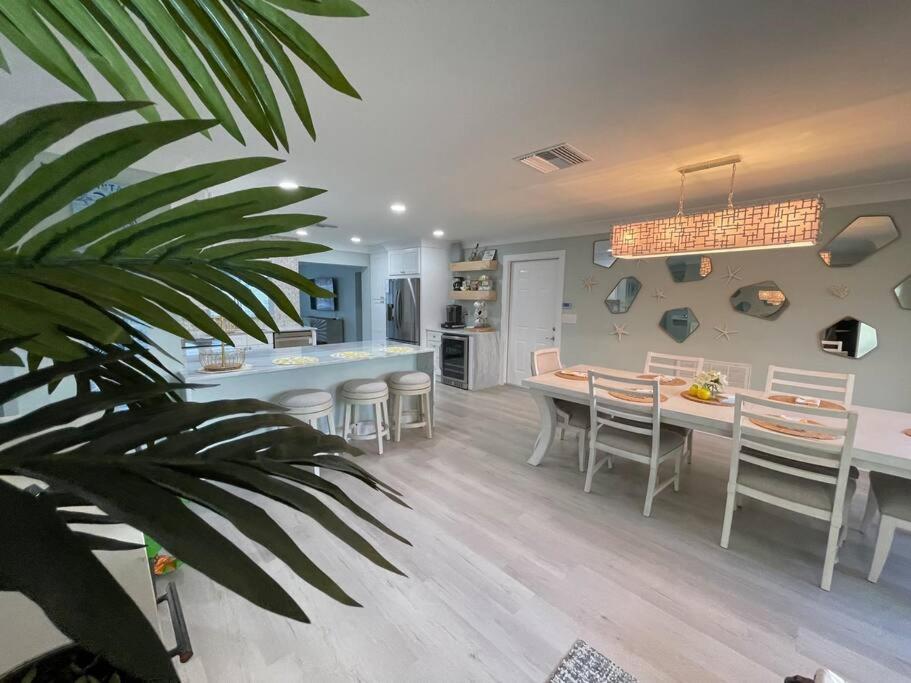 New Dog Paradise - Near The Beach Img & Downtown Bradenton Zewnętrze zdjęcie